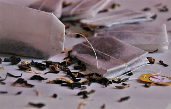 青南瓜は食べられる？プロが教える調理法と保存のコツ