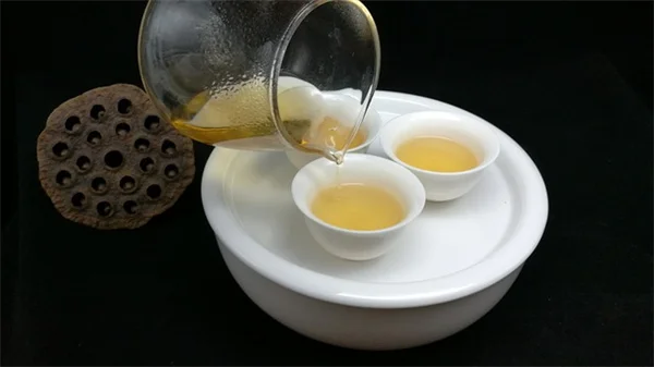 床虱が庭に！プロが教える屋外対策と予防のコツ