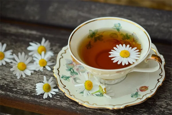 4月の芝生ケアで夏に向けて最高の芝生を作る5つのステップ