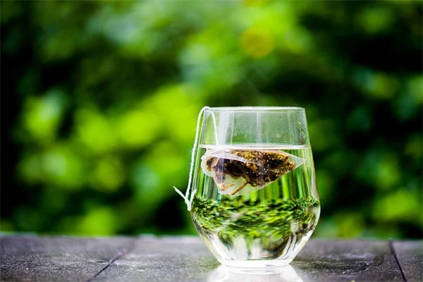 夏の庭を涼しくする5つの植物 – 簡単に実践できるコツ